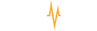 PayPulse Logo White